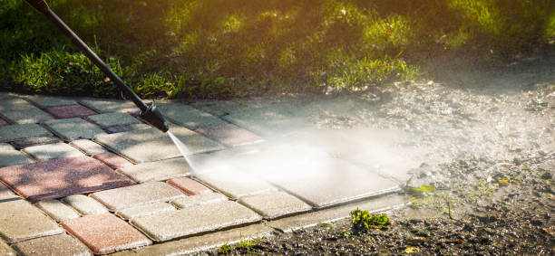 Best Sidewalk and Walkway Cleaning  in Terrell Hills, TX