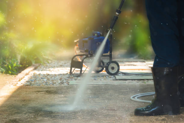 Best Roof Washing  in Terrell Hills, TX